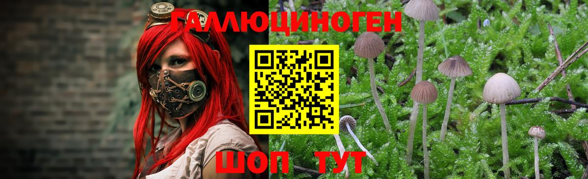 Псилоцибиновые грибы прущие грибы Саров