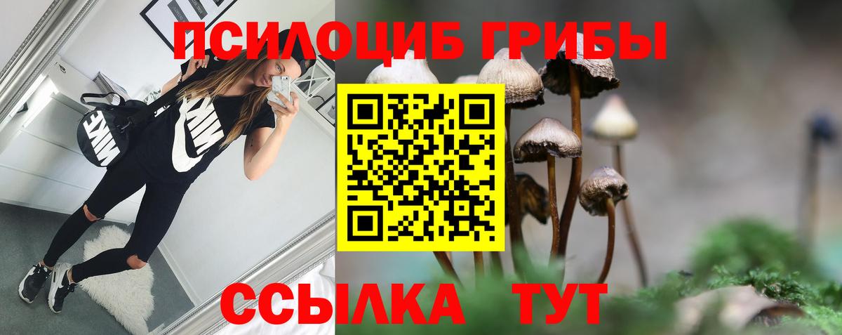 Псилоцибиновые грибы Magic Shrooms  Вход с VPN  Псилоцибиновые грибы Cubensis  Саров 